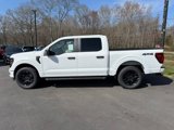 New 2025 Ford F150 STX w/ STX Black Appearance Package image 3