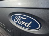New 2025 Ford F150 XLT w/ Equipment Group 303A High image 5