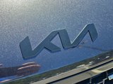 New 2025 Kia Carnival SX Prestige image 4