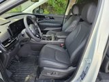 New 2025 Kia Carnival SX Prestige image 5