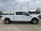 Used 2024 Ford F150 XLT w/ Equipment Group 302A MID image 4