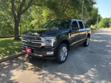 New 2025 Ford F150 Platinum w/ Equipment Group 703A Plus image 3