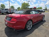 Used 2022 Ford Mustang GT Premium w/ Equipment Group 401A image 5