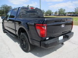 New 2025 Ford F150 XLT image 5