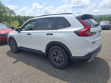 New 2026 Honda CR-V TrailSport image 3