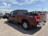 Certified 2016 Ford F150 XLT w/ Equipment Group 301A Mid image 4