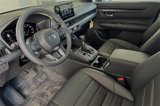 New 2025 Honda CR-V Sport-L image 5