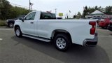 Used 2023 Chevrolet Silverado 1500 W/T w/ WT Fleet Convenience Package image 6