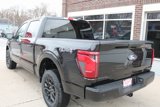 New 2025 Ford F150 STX image 4