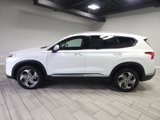 Used 2023 Hyundai Santa Fe SEL w/ Premium Package image 2