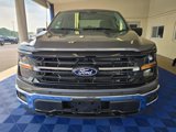 New 2025 Ford F150 XLT w/ Equipment Group 301A Standard image 2