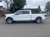 New 2025 Ford F150 XLT image 2