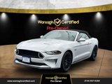 Used 2022 Ford Mustang GT image 3