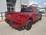 New 2025 Ford F150 STX w/ STX Black Appearance Package image 3