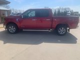 New 2025 Ford F150 XLT w/ Equipment Group 302A MID image 4