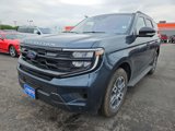 New 2025 Ford Expedition Active image 4