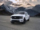 New 2025 Ford F150 Platinum image 2