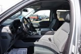 New 2025 Ford F150 XLT w/ Equipment Group 302A MID image 5