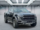 Used 2017 Ford F150 Raptor w/ Equipment Group 801A Mid image 2