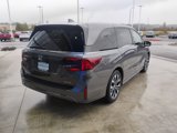 New 2025 Honda Odyssey Elite image 5