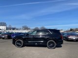 New 2025 Hyundai Palisade Calligraphy image 6