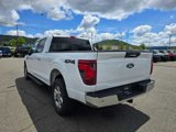 Certified 2024 Ford F150 XLT image 2