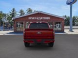 New 2025 Ford F150 XLT w/ Equipment Group 303A High image 5
