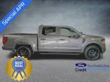 New 2025 Ford F150 STX w/ STX Black Appearance Package image 4