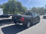 Used 2023 Ford F150 XLT w/ Equipment Group 302A High image 3