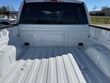 New 2025 Ford F150 STX w/ Equipment Group 200A image 6