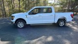 New 2025 Ford F150 XLT w/ Equipment Group 301A Standard image 4