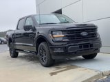 New 2025 Ford F150 XLT w/ Equipment Group 302A MID image 2