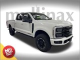 New 2025 Ford F250 Platinum w/ Tremor Off-Road Package image 1