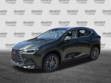 New 2026 Lexus NX 350h AWD w/ Luxury Package image 5