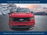 New 2025 Ford F150 XL image 2