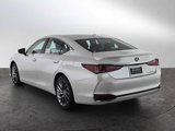 New 2025 Lexus ES 300h w/ Luxury Package image 5