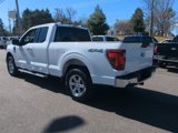 New 2025 Ford F150 XLT w/ Equipment Group 301A Standard image 5