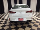 Used 2019 Hyundai Sonata ECO image 5
