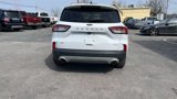 Used 2020 Ford Escape SE image 4