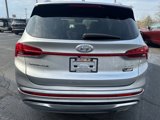 Used 2023 Hyundai Santa Fe Calligraphy image 6