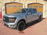 New 2025 Ford F150 STX image 2
