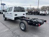 New 2025 Ford F350 XL w/ XL Chrome Package image 6
