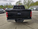 Used 2023 Ford F150 XLT image 6