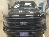 New 2025 Ford F150 XLT image 2