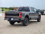 New 2025 Ford F250 Platinum image 4