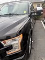 Used 2015 Ford F150 Platinum w/ Equipment Group 701A Luxury image 2