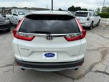 Used 2017 Honda CR-V Touring image 6
