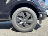New 2025 Ford F150 STX w/ Equipment Group 200A image 3