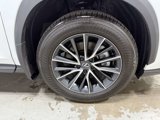 Used 2024 Lexus NX 350 AWD w/ Cold Area Package image 6