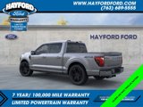 New 2025 Ford F150 Platinum image 4